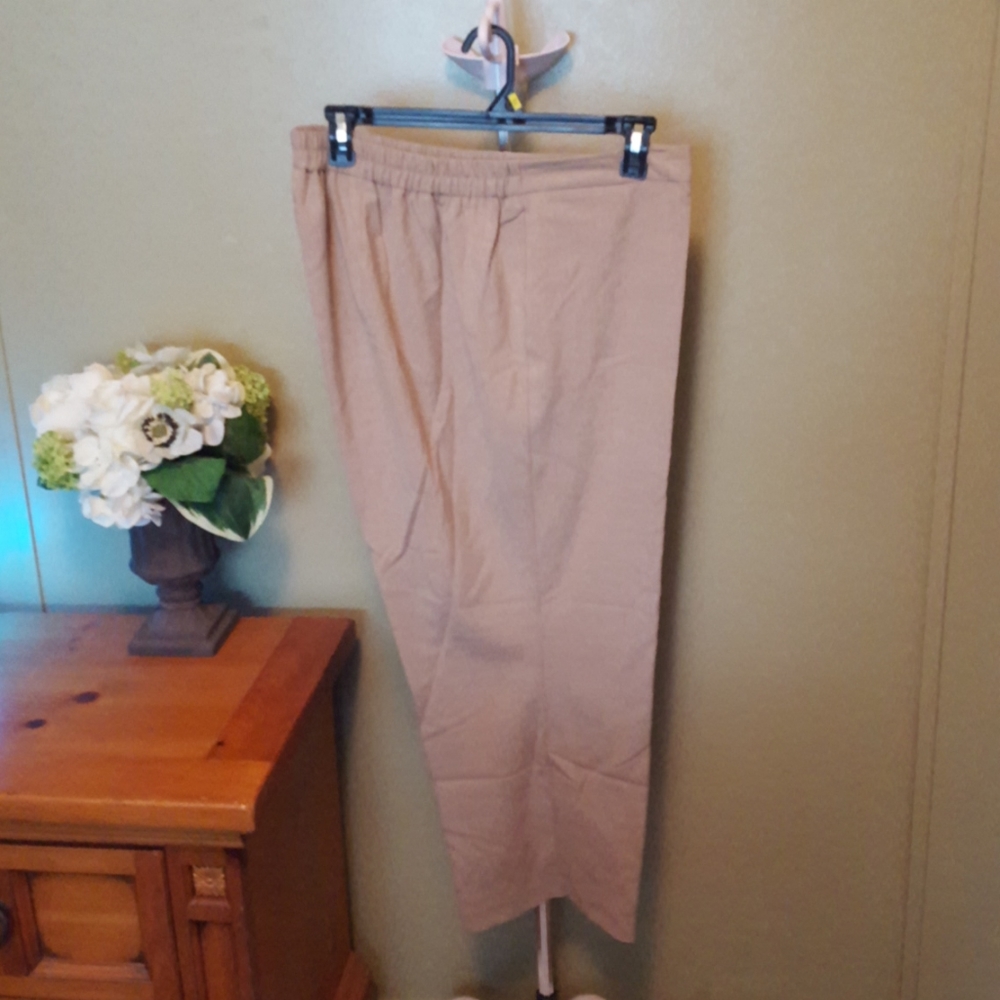Woman's petite slacks 22/24WP